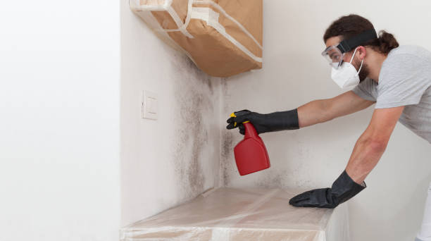 Professional Hvac And Air Duct Mold Remediation technician working in Petersburg, MI